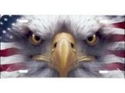Patriotic Eagle Airbrush License Plate
