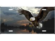 Soaring Eagle Airbrush License Plate Free Names on this Air Brush