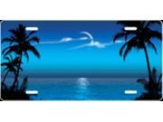 Blue Palms Scenic Airbrush License Plate Free Personalization on this Air Brush