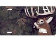 Camo Deer Offset Airbrush License Plate Free Names on Air Brush