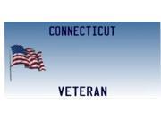 Connecticut Veteran State Look A Like Plate All wording is Free