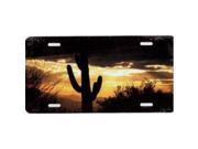 Southwest United States Cactus at Sunset Plate