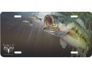 Large Mouth Bass Fish License Plate