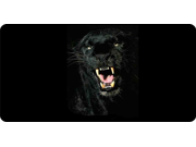 Black Jaguar Photo License Plate Black Jaguar Photo License Plate