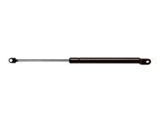 AMS Automotive 4757 Tailgate Lift Support