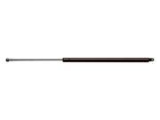 AMS Automotive 4824 Tailgate Lift Support