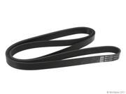 2004 2004 Ford F 150 Primary Accessory Drive Belt