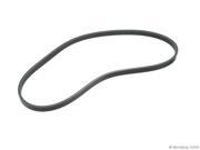 Mitsuboshi W0133 1637485 Accessory Drive Belt