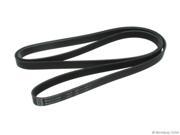 2009 2009 Land Rover LR3 Primary Accessory Drive Belt