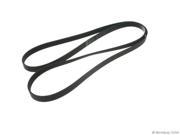 1991 1993 Buick Commercial Chassis Accessory Drive Belt
