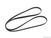 1999 2004 Buick Regal Primary Accessory Drive Belt