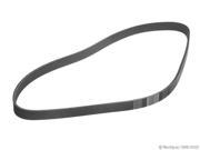 1991 1991 Ford Tempo Power Steering and Air Conditioning Accessory Drive Belt