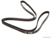 2009 2009 Land Rover LR3 Primary Accessory Drive Belt