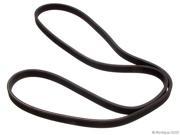 ContiTech W0133 1624978 Accessory Drive Belt