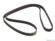 1995 1998 Audi Cabriolet Primary Accessory Drive Belt