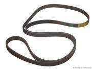 2000 2002 Mercedes Benz S500 Primary Accessory Drive Belt