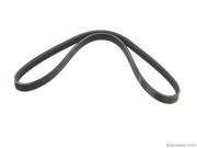 1998 2001 Nissan Altima Air Conditioning Accessory Drive Belt