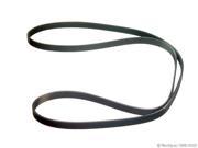 2008 2011 Ford Focus Accessory Drive Belt