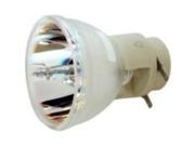 Acer EC.J9900.001 Projector Lamp