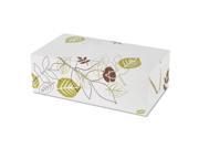 Paper Carryout Cartons 1 Comp White Green Burgundy 5 x 9 x 3 250 Carton