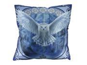 Anne Stokes Awaken Your Magic 20 Inch Owl Throw Pillow