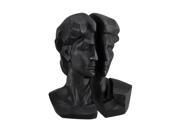 Michelangelo Head of David Satin Black Bookend Set