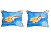Pair of Betsy Drake Brown Sea Turtle Large Pillows 16 Inch x 20 Inch