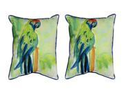 Pair of Betsy Drake Green Parrot Large Indoor Outdoor Pillows 16x20