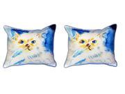 Pair of Betsy Drake `Junior the Cat` Indoor Outdoor Pillows 16 In. X 20 In.