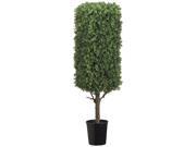 44 Inch Tall Rectangular Boxwood Topiary in Black Plastic Pot