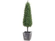 41 Inch Tall Boxwood Cone Topiary in Pot