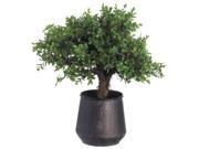 27 Inch Tall Button Leaf Tree in Planter
