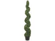 5 Foot Tall Pond Boxwood Spiral Topiary Plant