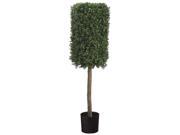 50 Inch Tall Rectangular Boxwood Topiary in Plastic Pot