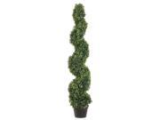 4 Foot Tall Pond Boxwood Spiral Topiary in Plastic Pot