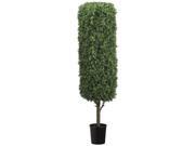 60 Inch Tall Rectangular Boxwood Topiary in Black Plastic Pot