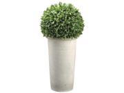 30 Inch Tall Bay Leaf Ball Topiary in Fiber Cement Planter