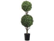 4 Foot Tall Double Ball Boxwood Topiary in Black Plastic Pot