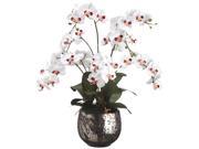 36 Inch Tall Phalaenopsis Orchid in Ceramic Vase