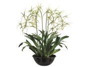 Silk Décor Brassia Plant in Terracotta Pot 32 Inch