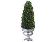 20 Inch Tall Preserved Boxwood Cone Topiary in Tin Urn