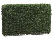 24 Inch Tall Boxwood Hedge Two Tone Green