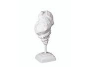 12 1 2 Inch Tall White Ceramic Conch Shell On Stand Statue