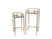 2 Piece Gold Leaf Finish Metal and Glass Square Plant Stands
