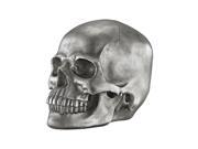 Sterling Industries Knell Silver Skull