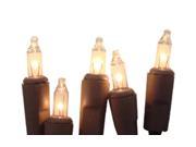 Set of 10 Battery Operated Clear Mini Christmas Lights Brown Wire