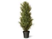 60 Tall Artificial Two Tone Green Argentia Plant with Round Pot