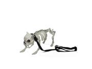 16 Distressed Cream White Dog Skeleton on Leash Indoor Outdoor Halloween Decoration