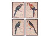 Set of 4 Postmark Design Colorful Tropical Parrot Wall Hangings 15.75