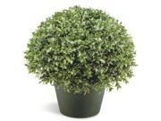 13 Potted Artificial Japanese Holly Bush
